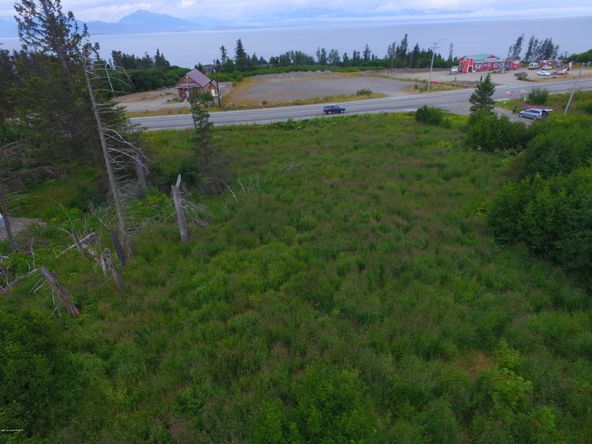 3658 Forest Glen Dr, Homer, AK 99603